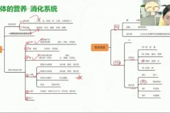 初一生物春季课程：全面掌握人体系统与健康