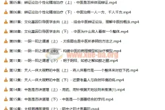 【潘毅】闻道中医—推天檤以明医事（35集）