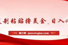 AI复制粘贴撸美金，日入400刀！只需动动手指，小白无脑操作