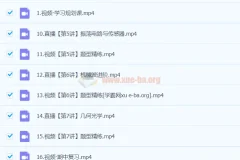 彭娟娟物理 2024高中高二物理 S班春季