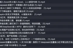 《巧用DeepSeek玩法合集课程，让你的工作效率飞升》[MP4]