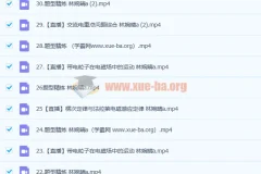 林婉晴 2023高三高考物理 A班一轮复习 暑假班 秋季班