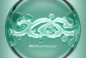 XG《NEW DNA》[无损FLAC/MP3/393MB]