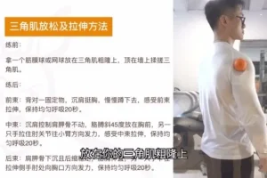 小萝卜四分化健身入门：胸背肩腿基础训练