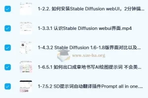 人工智能SD电商图实战，ai绘图0基础到精通（41节视频课）