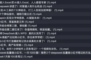 《巧用DeepSeek玩法合集课程，让你的工作效率飞升》[MP4]
