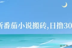 最新番茄小说搬砖，日撸300＋！全自动操作，可矩阵放大