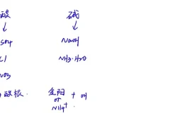 清越高中化学必修一精讲+刷题