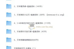 文老师语文课程合集（学习方法 基础知识 小古文 文学素养 阅读 作文 ）298GB