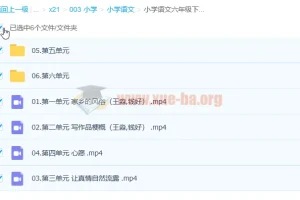小学语文六年级下册校内同步作文全解