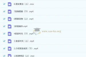 吴彦祖带你学口语 英语课程价值398元