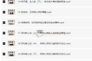 阳明心学教你修炼强大内心 【1.3GB】