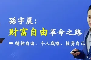 孙宇晨：财富自由革命之路