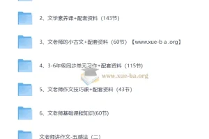 文老师语文课程合集（学习方法 基础知识 小古文 文学素养 阅读 作文 ）298GB