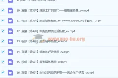 杨雪 2024高中高一生物 暑假班