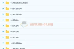 杜春雨 2021春 初二物理直播菁英班14讲带讲义