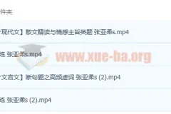 2023高考语文 张亚柔 s一轮复习 暑假班 秋季班更新4讲