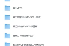 《全网VIP小说排行榜Top100》必读热门网文书单合集[TXT]
