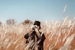 手机摄影训练营随手拍大片