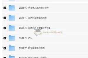 中文系五匪子高中语文课程