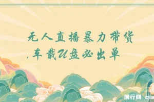 树敌无人直播暴力带货-车载U盘必出单