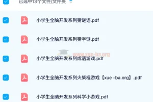 【24寒】小学生全脑开发系列