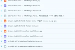 《通过老友记学习英语》外教精讲课中、英双字幕