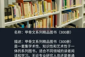 《甲骨文系列精品图书》(300册)[pdf][14G]