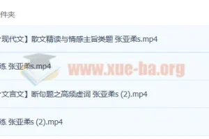 2023高考语文 张亚柔 s一轮复习 暑假班 秋季班更新4讲