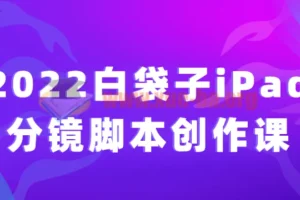 2022白袋子iPad分镜脚本创作课