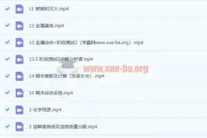 杨静然 2020春 初三中考化学春季冲顶班15讲带讲义