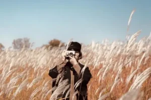 手机摄影训练营随手拍大片