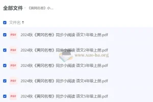 黄冈名卷 小学语文同步小阅读 (2024年秋）