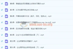 税务主管私教班-财会成长学苑（完结）