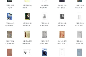 《武术类书籍合集全》[PDF][31.4G]