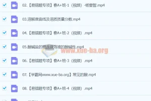 2024初三中考化学 杨雯智 A+ 寒假班（春上）