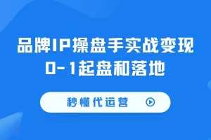 秒懂代运营：品牌IP操盘手实战变现0-1起盘和落地