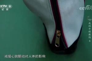 儿童物理启蒙：我的牛顿教练全解析