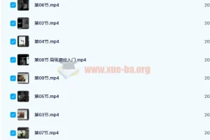 日系人像摄影私教课 20课时完结