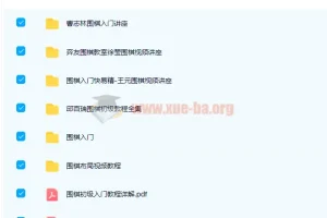 围棋入门视频教程 徐莹，曹志林，邱百瑞