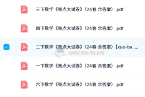 24春1-6年级下册数学《亮点大试卷》含答案