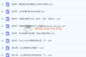 税务主管私教班-财会成长学苑（完结）