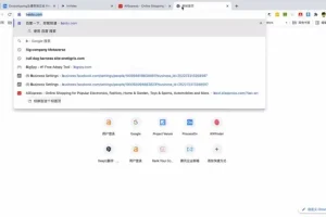 Daniel老师独立站跨境电商实战课程