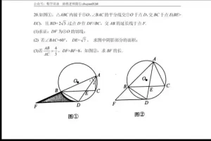 初中数学新思维：黄东坡探究应用全攻略