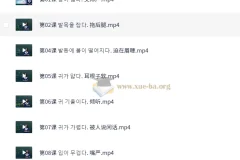 学韩语做疯狂韩语达人60课时 【5.87 GB】