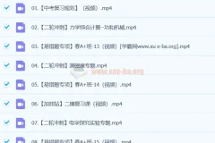 谭清军 2024初三中考物理视频课程 春季班（下）