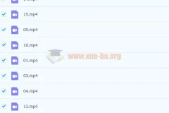 【完结】培优素养共读一本书《爱丽丝梦游仙境》