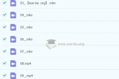 【2023寒春】三年级 小学语文 A+苏哲