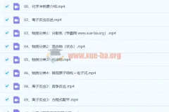 2022年树成林化学冲刺课 33讲