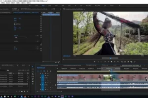 零基础到高手：PR剪辑全攻略2020